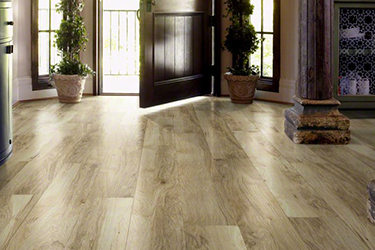 Vinyl Flooring